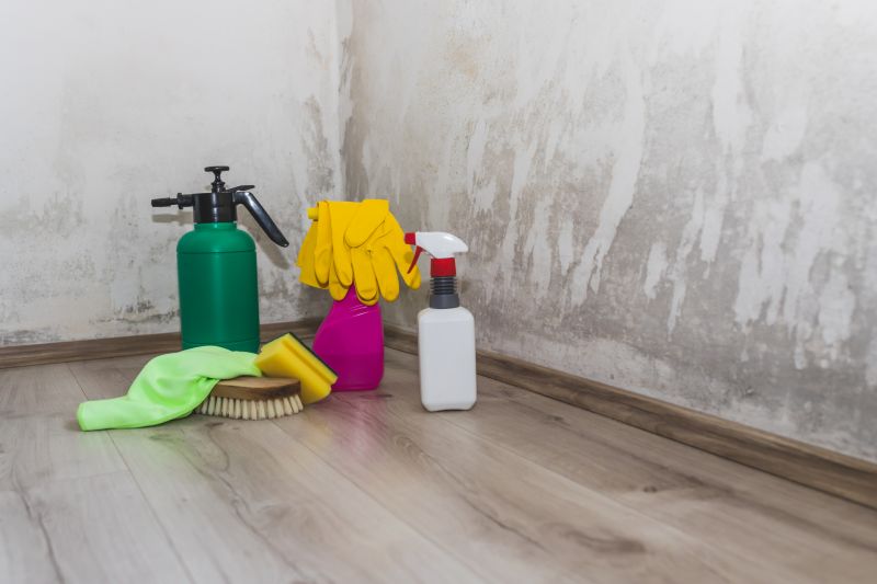 Mold and Mildew Presence